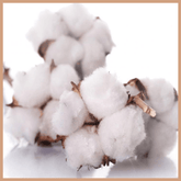 Clean Cotton Fragrance Oil - Craftovator